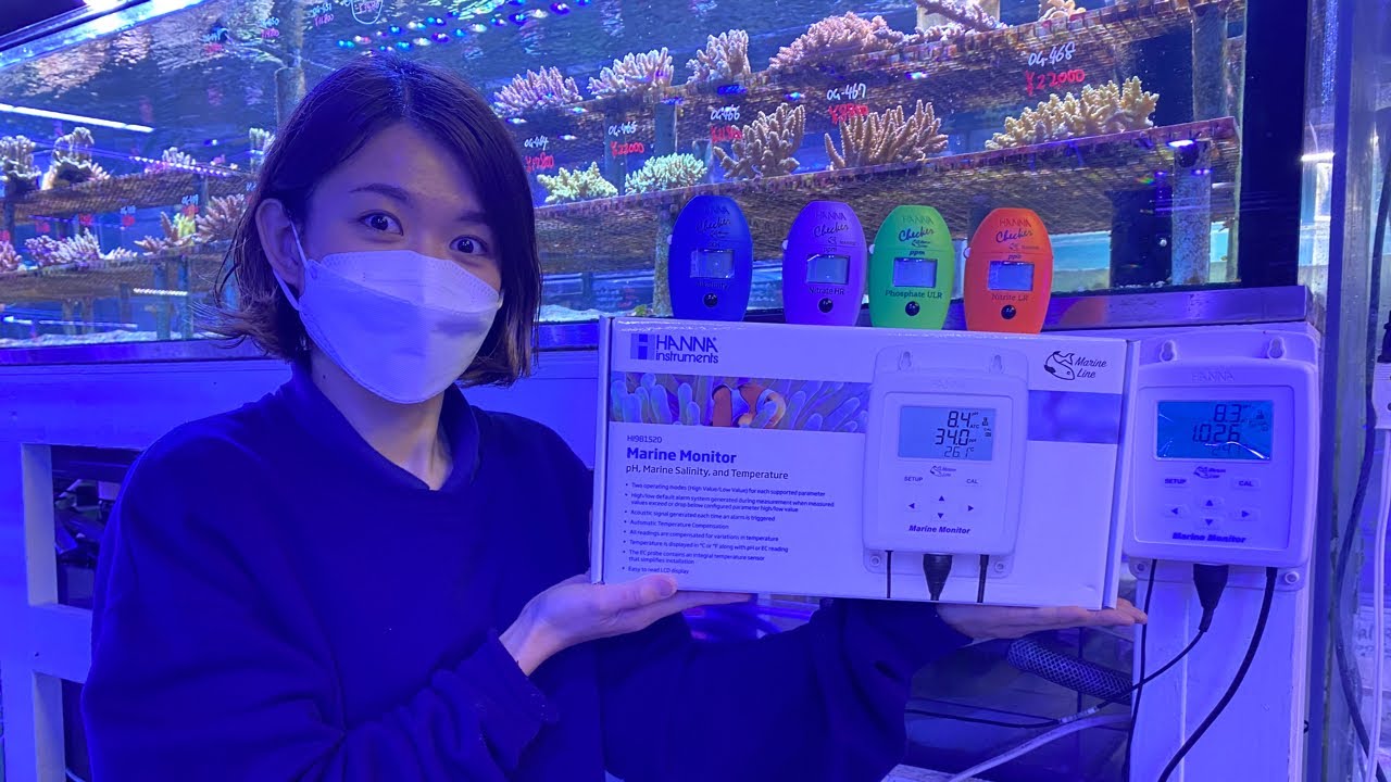 海水水槽必需品？！HANNA水質検査チェッカー入荷！生体は驚くほど入荷してます！