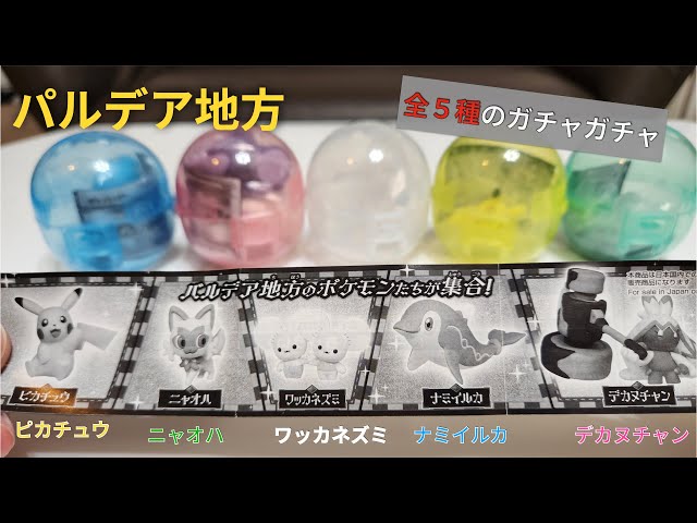 初登場のポケモンばかり！面白い発見も！全5種【パルデアいっぱい