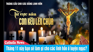 Tháng 11 này bạn sẽ làm gì cho các linh hồn ở luyện ngục? | Catholic News