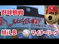 【海外生活】バンクーバーで野球観戦【マイナーリーグ】