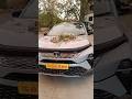 #TATA #CURVV  new video like n share 🚗🥰🥰🥰😍😍😍🤩🤩💝💝