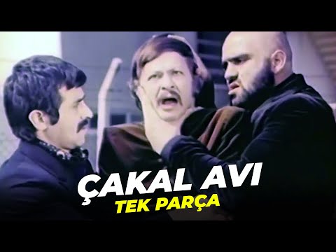 Çakal Avı | Tanju Korel Eski Türk Filmi Full İzle