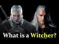 What is a Witcher? All You Need to Know About Witchers Before Watching the Show