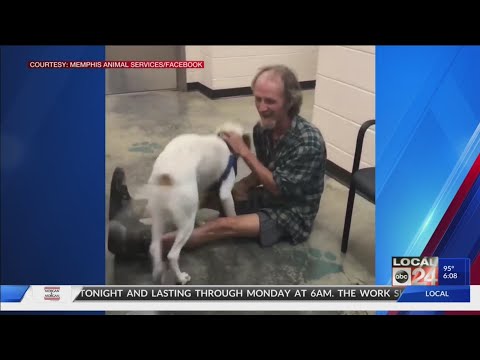 Video: Vděčný majitel je stále děkuje bezdomovci, který se s ním sešel se ztraceným psem