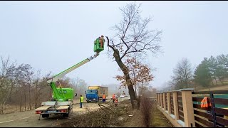 Tree Trimming from an Aerial Lift Part 1 | Orezávanie stromu z plošiny 1.časť