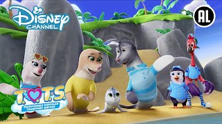 T.O.T.S | Duik erin ! | Disney Channel NL