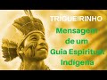 Trigueirinho | Mensagem de um Guia Espiritual Indígena