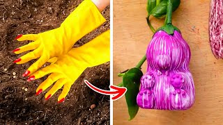 30+ Useful Gardening Hacks That Actually Work Even If You Are Beginner
