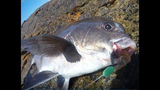 Fishing other circle hook brand @ Agulhas.  Galjoen & cracker. Pt 1.  🅻🅴🆃🆂 🅳🅾 🆃🅷🅸🆂 #agulhasgaljoen