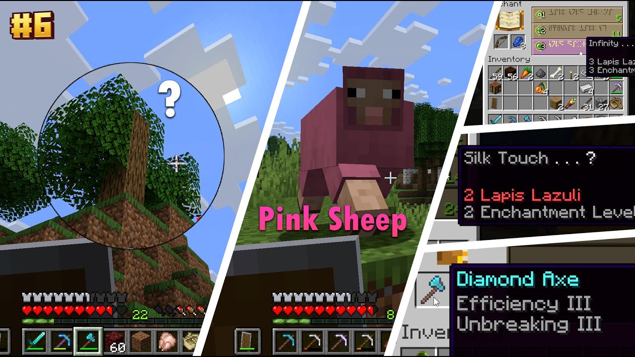 Found a Pink Sheep & OP Enchantments! | Minecraft Java Survival Series #6