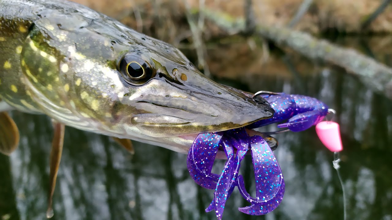 ✅Не ОЧІКУВАВ я такого від цієї ПРИМАНКИ! Де зараз стоїть ЩУКА на річці?!?!💥