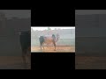 brown bull edit ☠️ #shorts #bakraeid2025