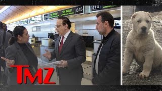 Family of Dead Dog Confronts Air France-KLM Official But Gets Stonewalled | TMZ