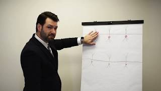 NACHURS VLOG: Phosphorus Placement and Efficiency