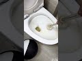 #Aisidin said about hair care#Clean the yellow toilet#Good cleaning helper