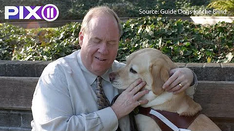 A Blind Man, His Guide Dog, and Their Escape from ...