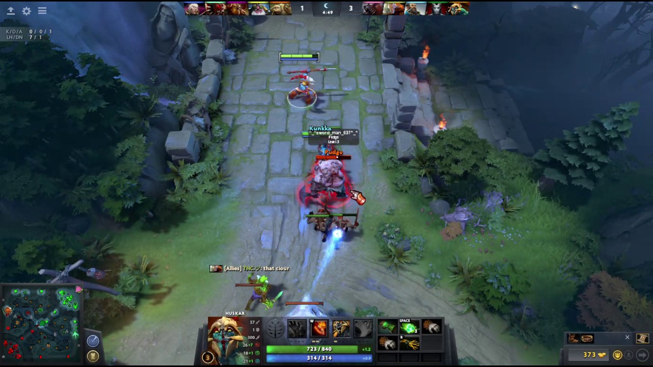 mad husker dota 2 - YouTube
