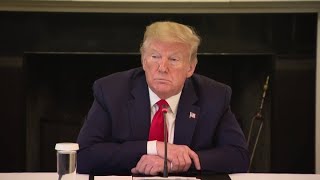 President Donald Trump comments on FDA issuing authorization for Remdesivir