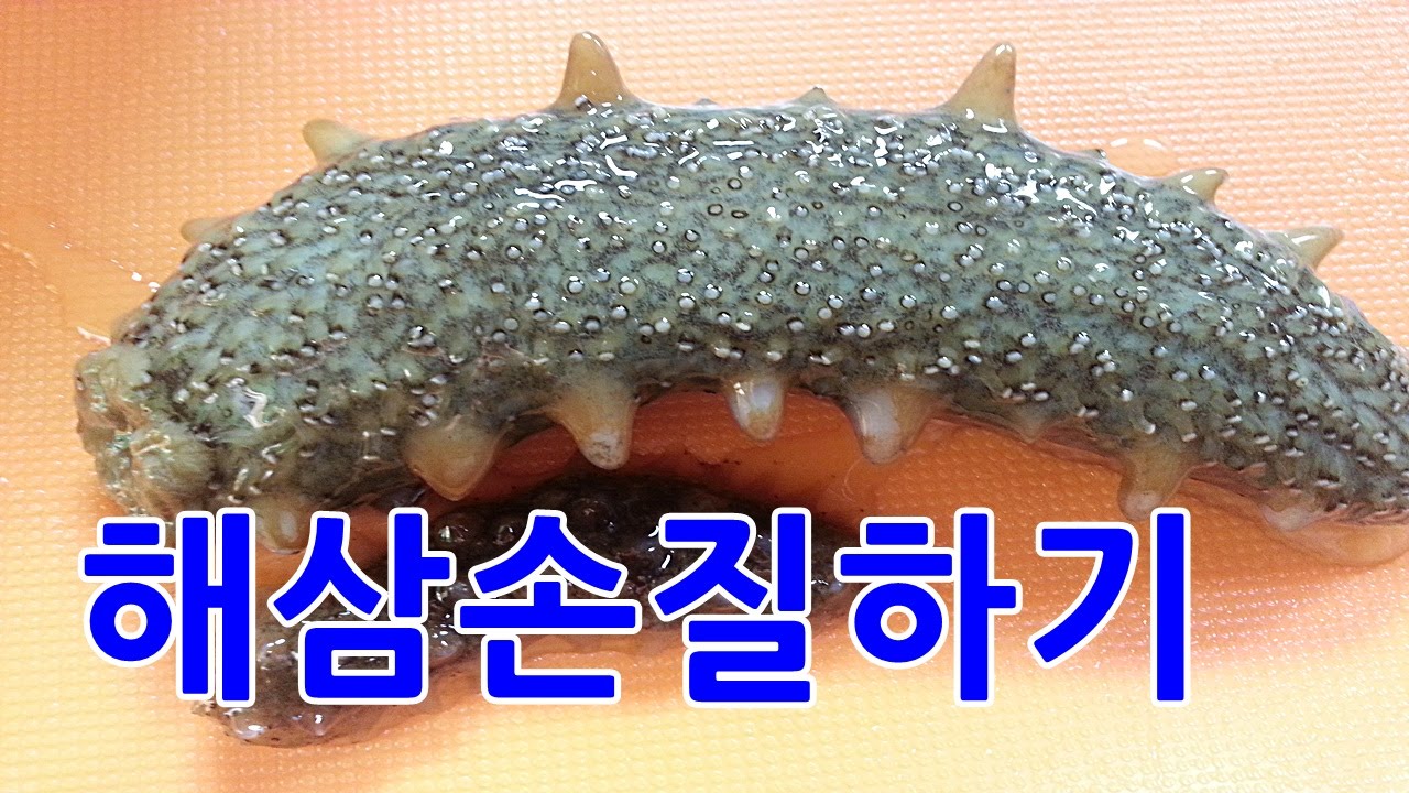 해삼손질법 🔪초간단👉정확한 해삼손질방법 - YouTube