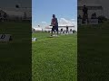 303 Yard Bomb Secures the Win at the Long Drive Championship 2025 ⛳ #shorts #golf