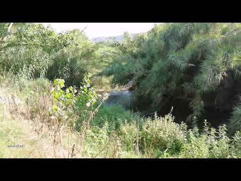 Vídeo: Disfrutar Del Aire Libre Cuando Tienes RA