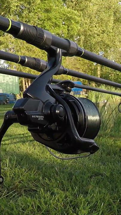 CARP fishing PORN!!! #shorts