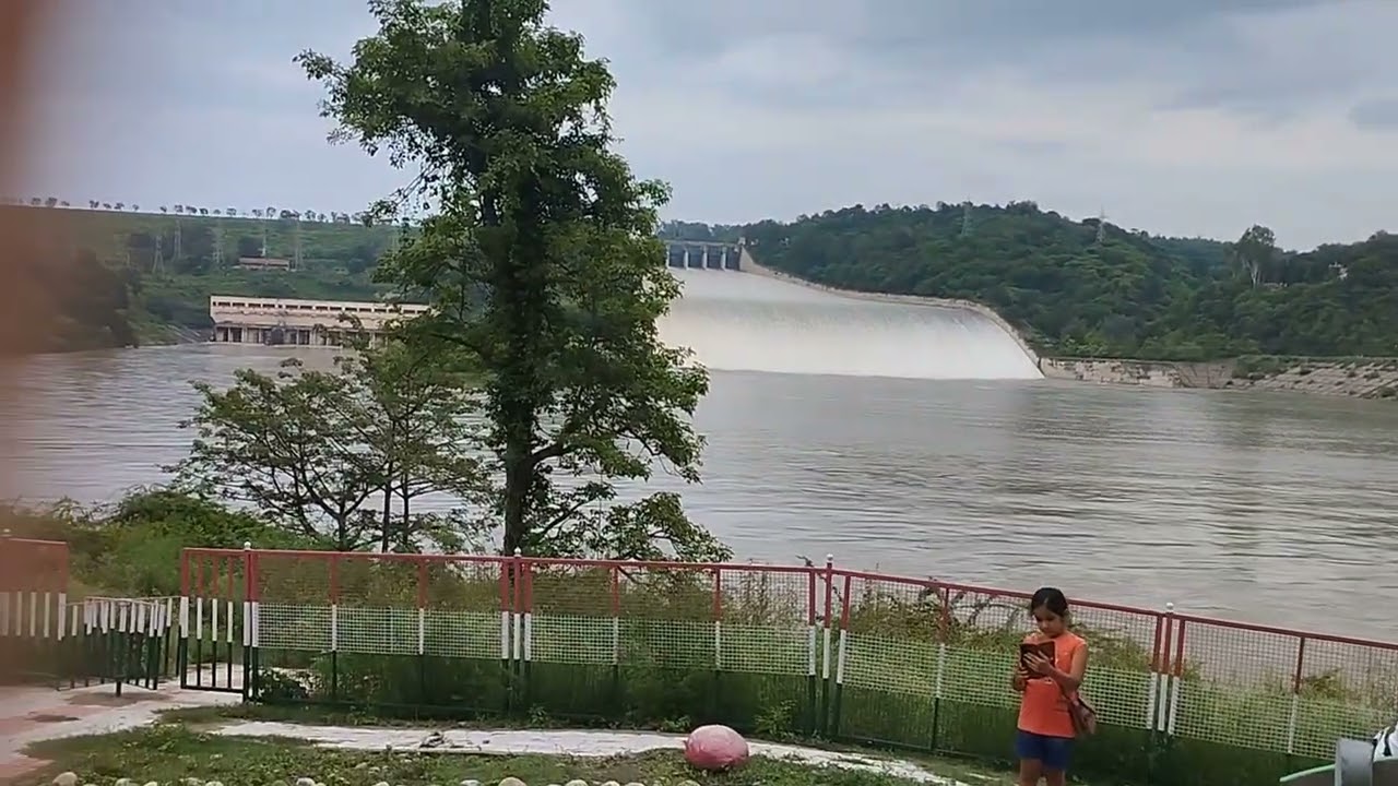 Pong Dam BBMB Himachal pradesh