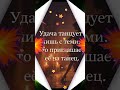 16 февраля 2026 г.