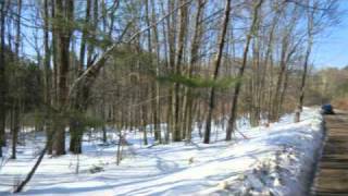 Land For Sale Upstate NY - 8.9 Acres Woodbourne Sullivan County NY