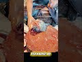 Amazing Fish Cutting Skills | Fish Market #shorts #fish #fishcutting