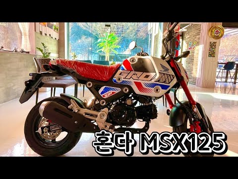 Video 혼다msx125(그롬) - youtube