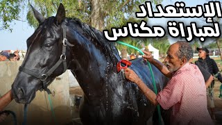 اجواء ما قبل مباراة تربية الخيول البربرية بمكناس ( الجزء الأول )