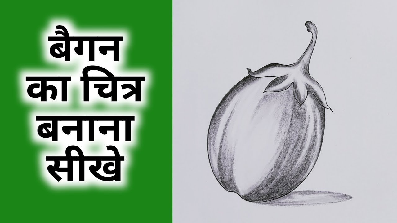 How to draw brinjal pencil sketch with Shade  Brinjal Banana sketch Pencil  sketch