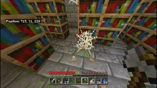 Minecraft part 10