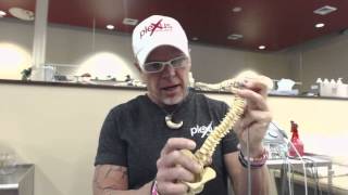https://joelpieper.myplexusopportunity.com/ # 157770 Plexus and water