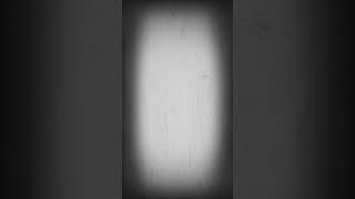 Merhaba Prenses 👑 🌹🌙