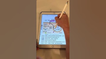 Annotating lecture slides on my iPad using a note-taking app like Kilonotes has been the biggest