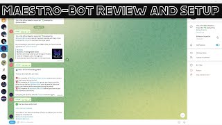 Maestro-Bot Review and Setup