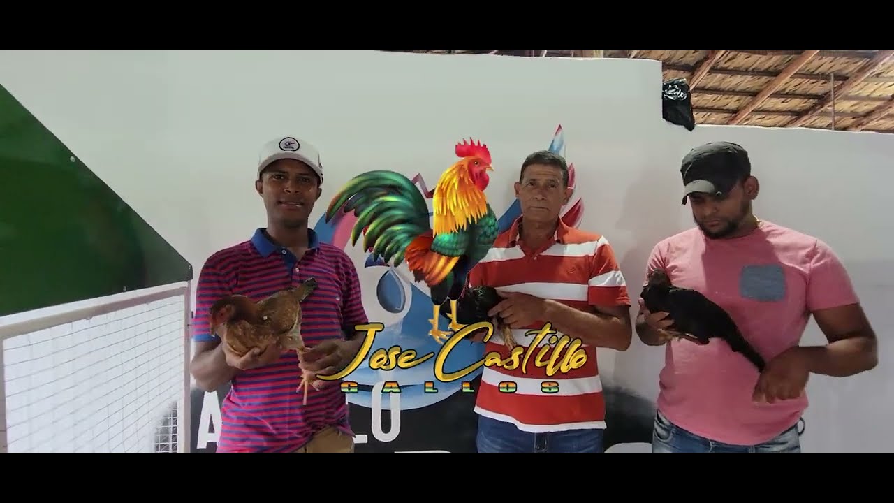 EN BUSCA DE UN UN PIE DE CRIA EN BANCA ABUELO PEPITO APROVECHANDO VIENDO LAS NUEVAS INSTALACIONES