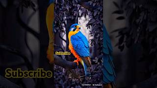 Bird Enjoying Rain In A Peaceful Forest Relaxing Nature Scene