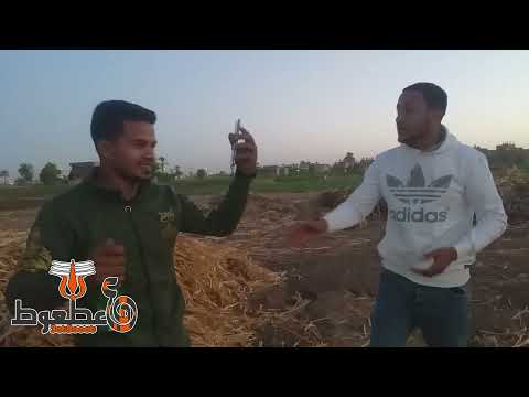 سألت الشيخ عطعوط وقالي حلال ي ولدي
