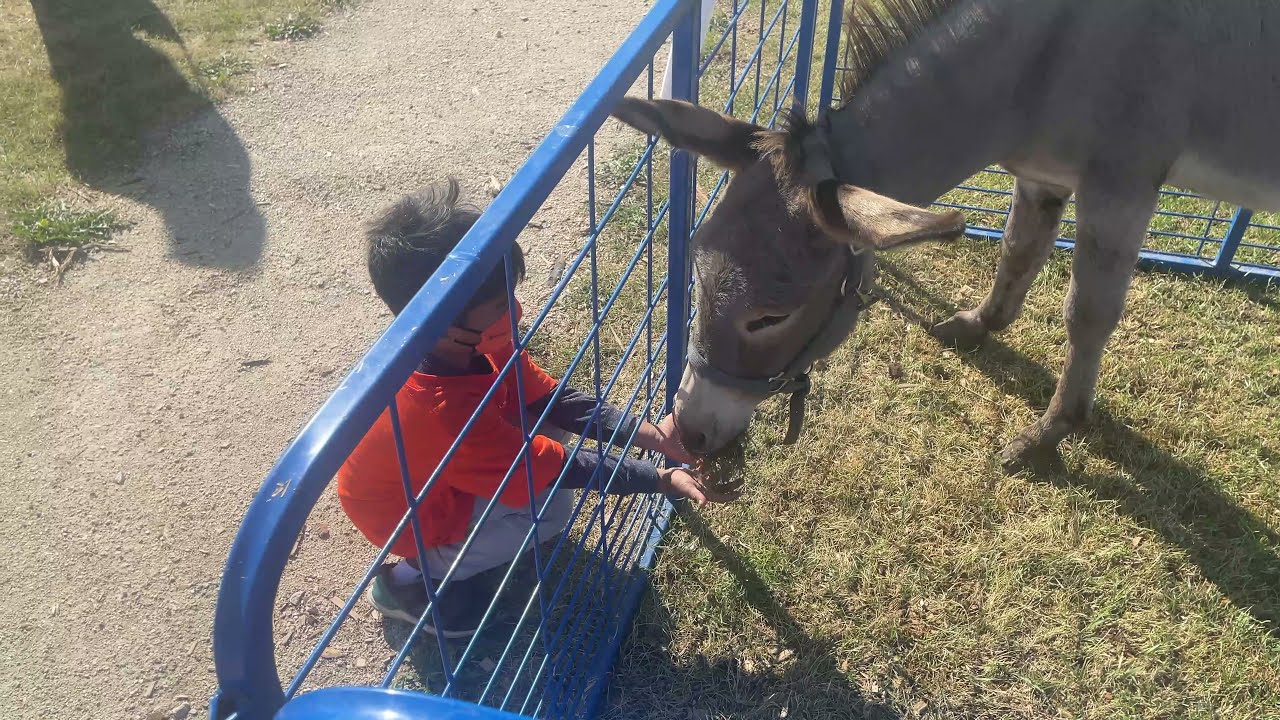 General Byng's Ignite3 party