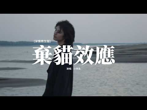 小隊長 - 棄貓效應（深情男生版）『我總問自己 到底做錯了哪裡，還是我不夠好 只是她的代替。』『動態歌詞MV』