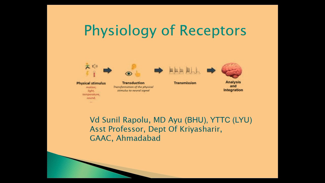 Physiology of Receptors - YouTube