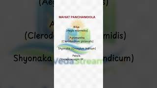 MAHAT PANCHAMOOLA#Ayurveda#Panchamoola #medicine #charaka