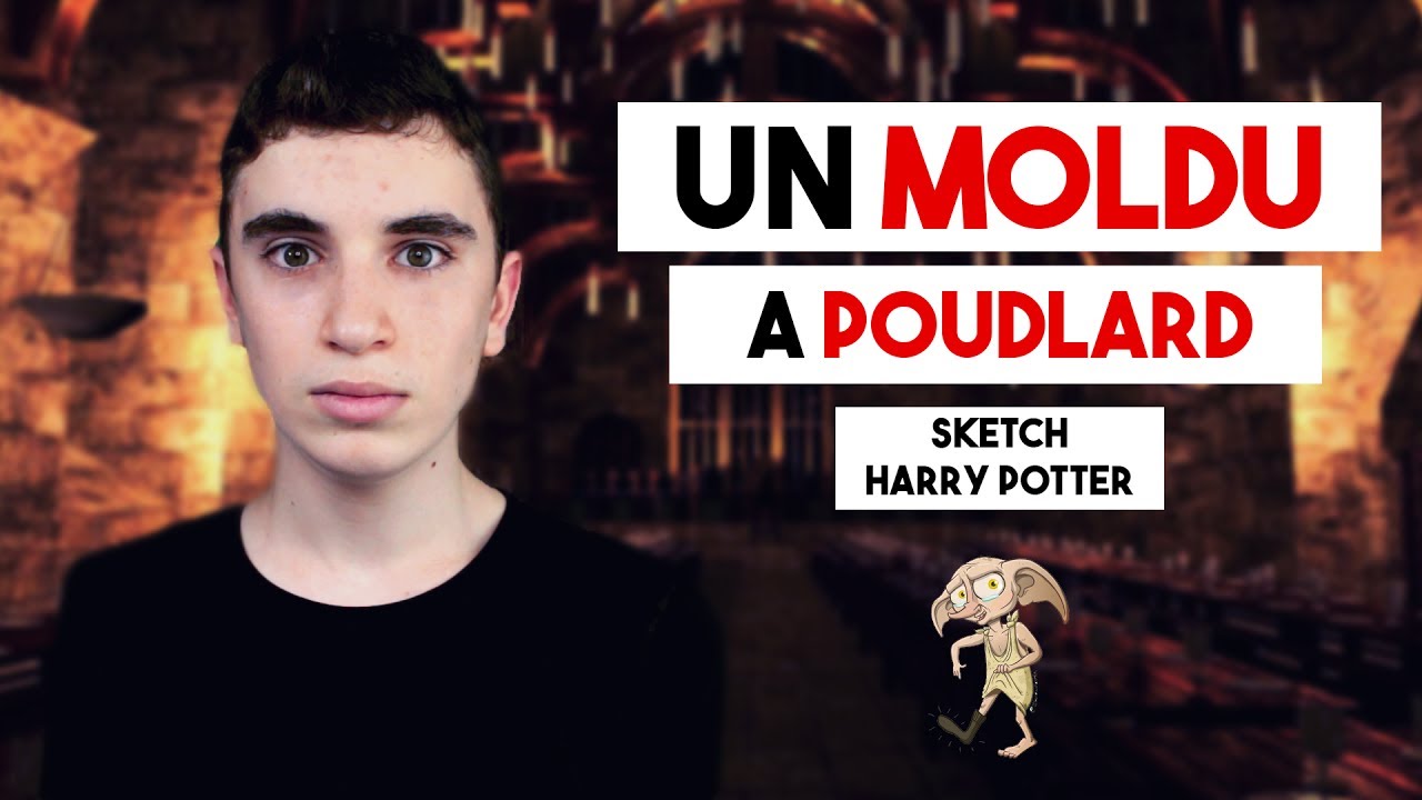UN MOLDU A POUDLARD ECHANGE SCOLAIRE (Sketch Harry Potter) l HD HPTS