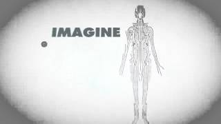 How does acupuncture work   RMIT University
