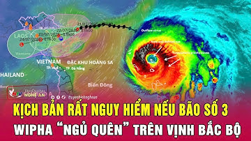 Kịch bản rất nguy hiểm nếu BÃO SỐ 3 WIPHA “ngủ quên” trên Vịnh Bắc Bộ