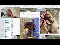 Beginning of video