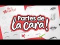 ¿Cómo dibujar partes de la cara? PASO A PASO! ✄ Barbs Arenas Art!